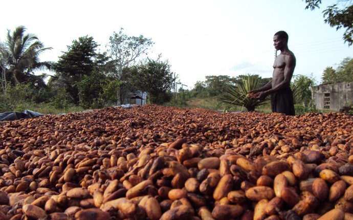 Cocoa sector to get US$2bn