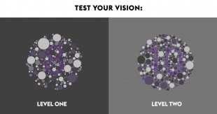 test your vision: level one and level two